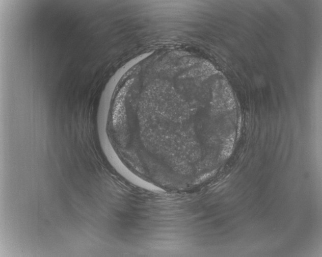 X0000072550818200608111836