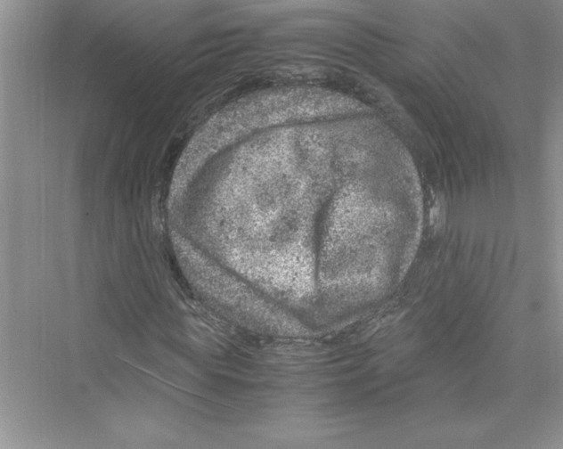 X0000072550819200608111836