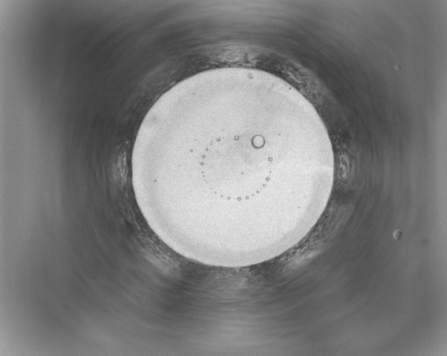 X0000072550820200608111836