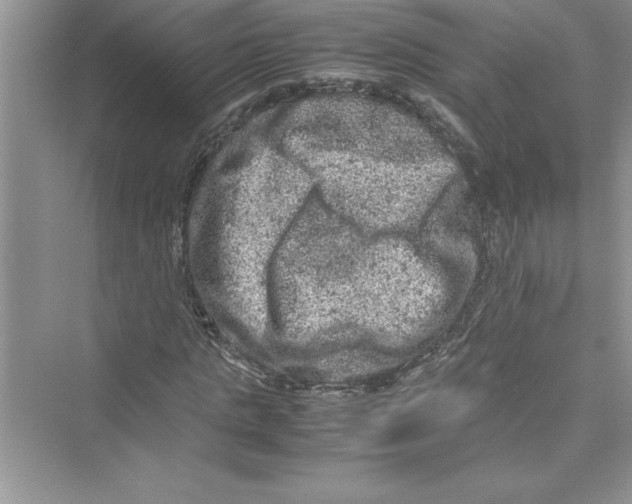 X0000072550821200608111836