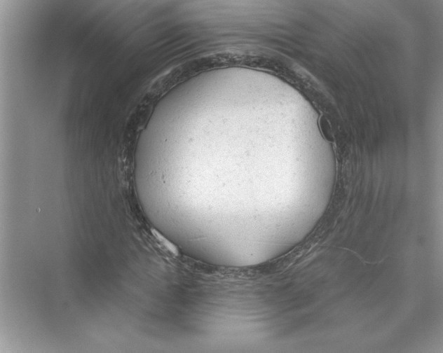 X0000072550822200608111836