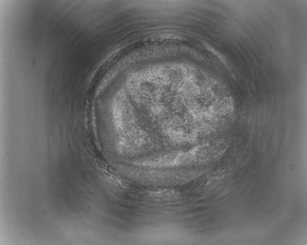 X0000072550823200608111836