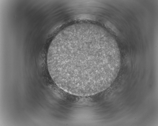 X0000072550824200608111836