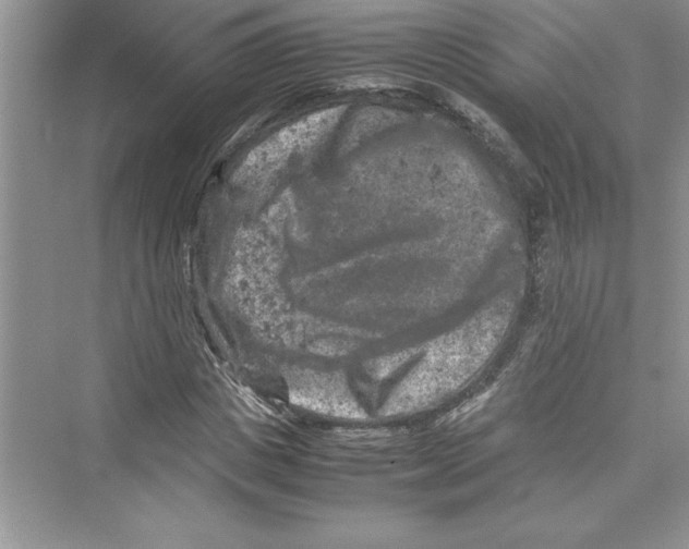 X0000072550825200608111836