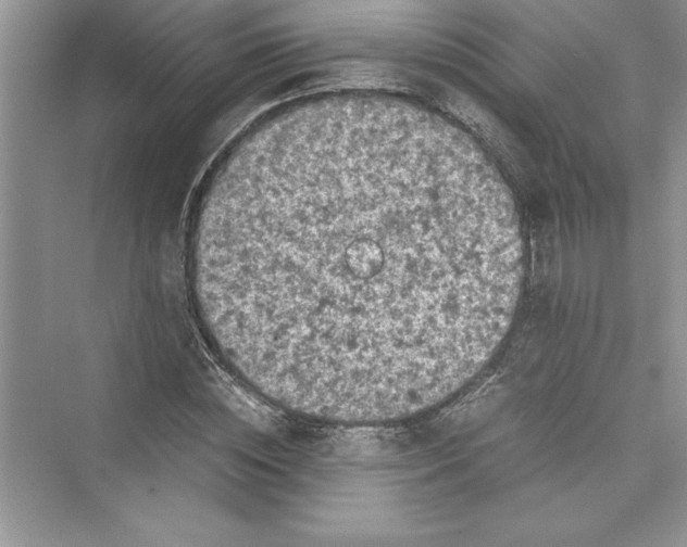 X0000072550828200608111836