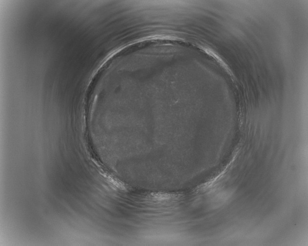 X0000072550829200608111836