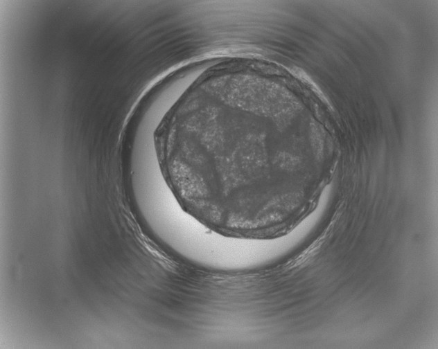 X0000072550830200608111836