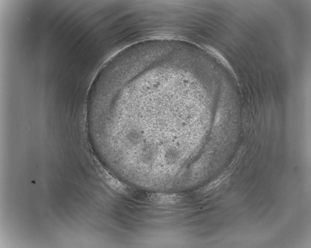 X0000072550831200608111836