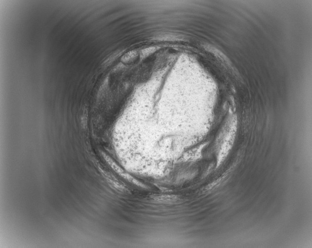 X0000072550833200608111837