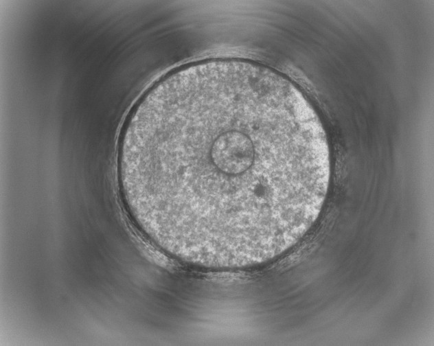 X0000072550836200608111837