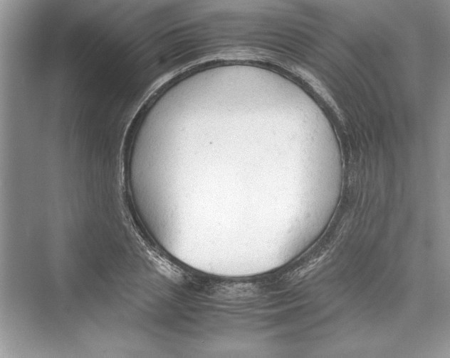 X0000072550837200608111837