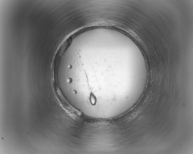 X0000072550838200608111837