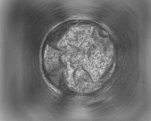 X0000072550840200608111837