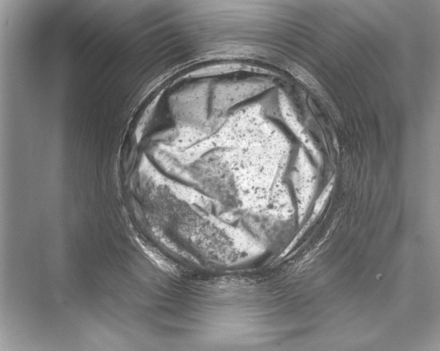 X0000072550842200608111837