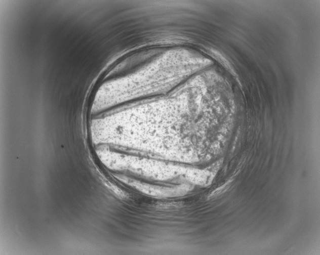 X0000072550843200608111837