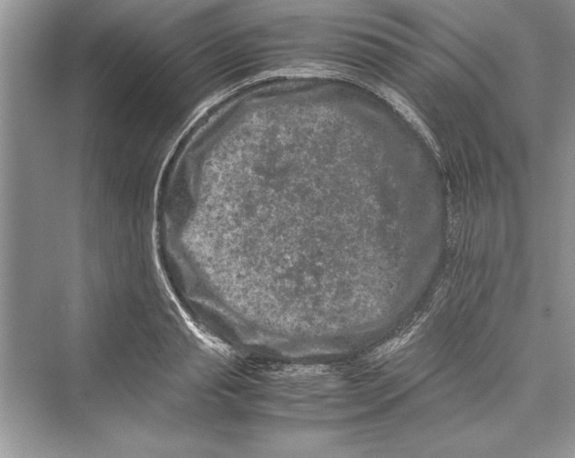 X0000072550845200608111837