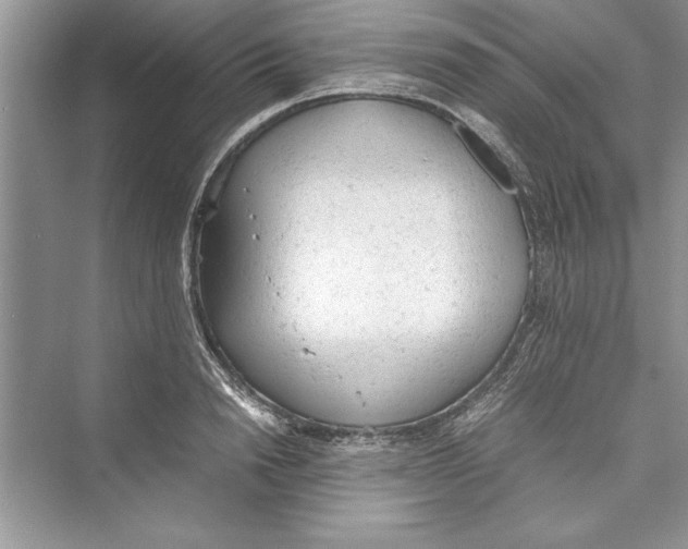 X0000072550846200608111837