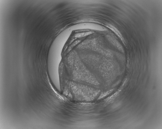 X0000072550849200608111837