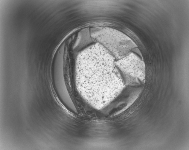 X0000072550852200608111837