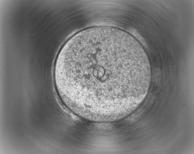 X0000072550856200608111837