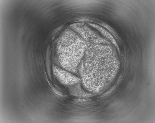 X0000072550857200608111837