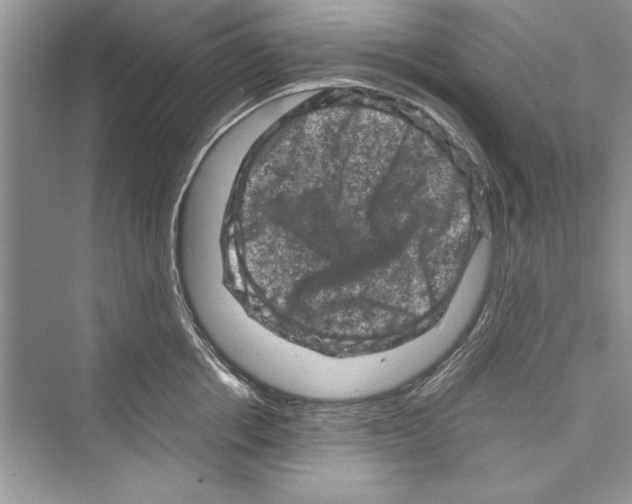 X0000072550858200608111837