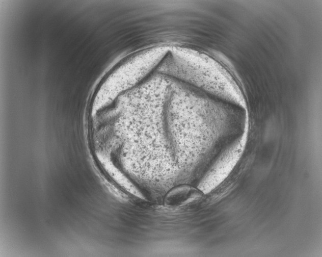 X0000072550859200608111837