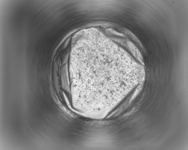 X0000072550860200608111837