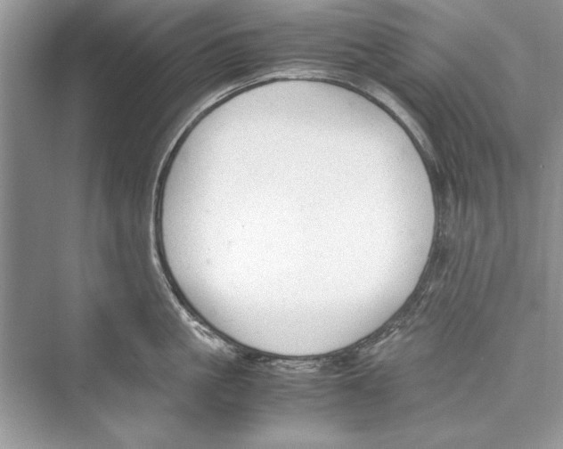 X0000072550861200608111837