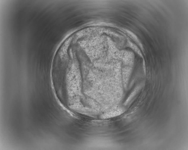 X0000072550863200608111837