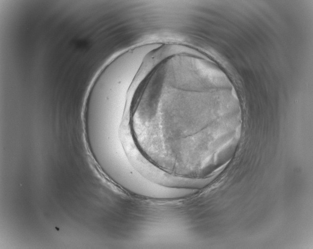 X0000072550864200608111837