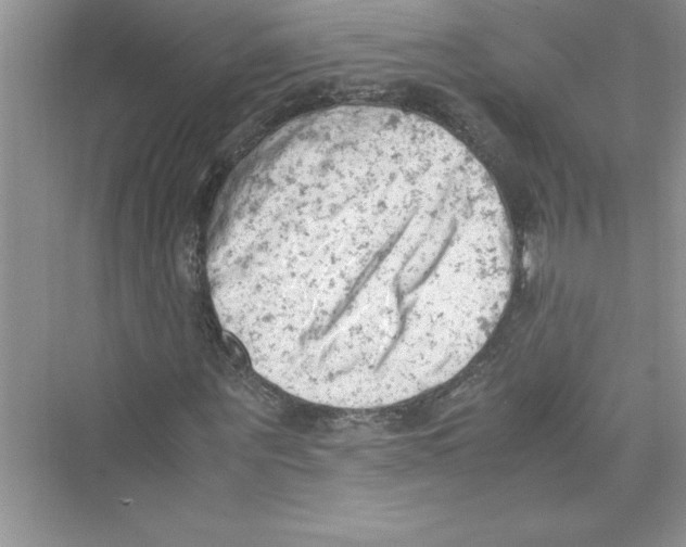 X0000072550867200608111836