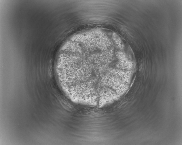 X0000072550868200608111836