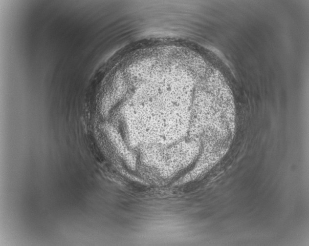 X0000072550871200608111836