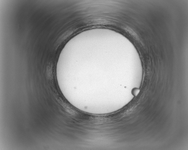 X0000072550873200608111836