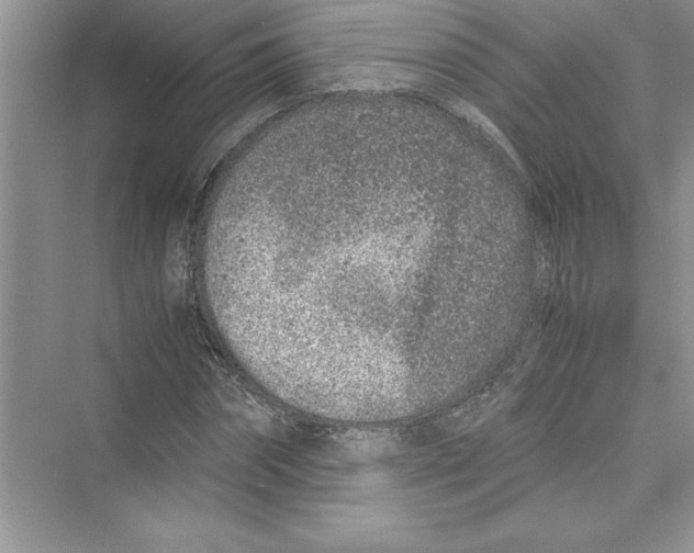 X0000072550874200608111836