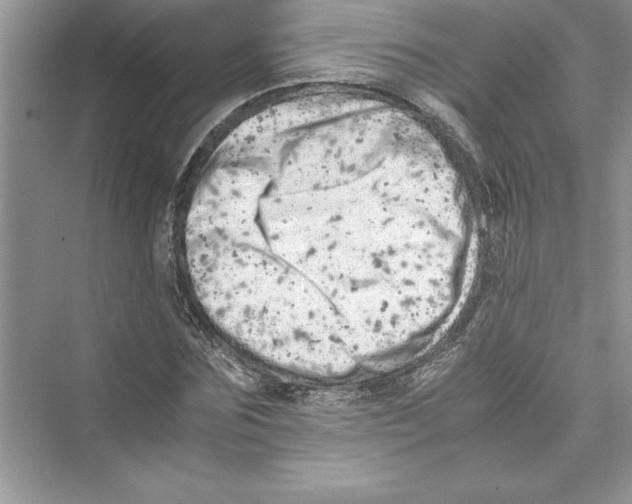 X0000072550875200608111836