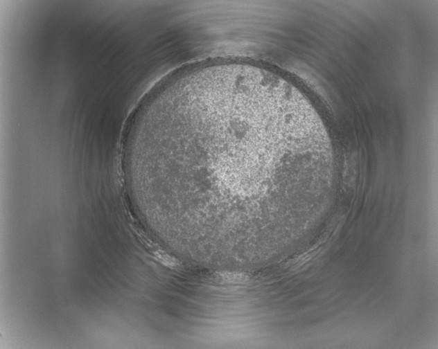 X0000072550878200608111836