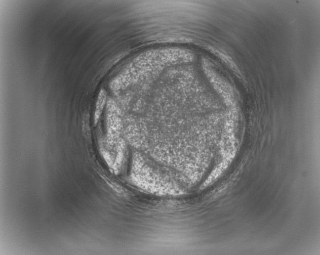 X0000072550881200608111836