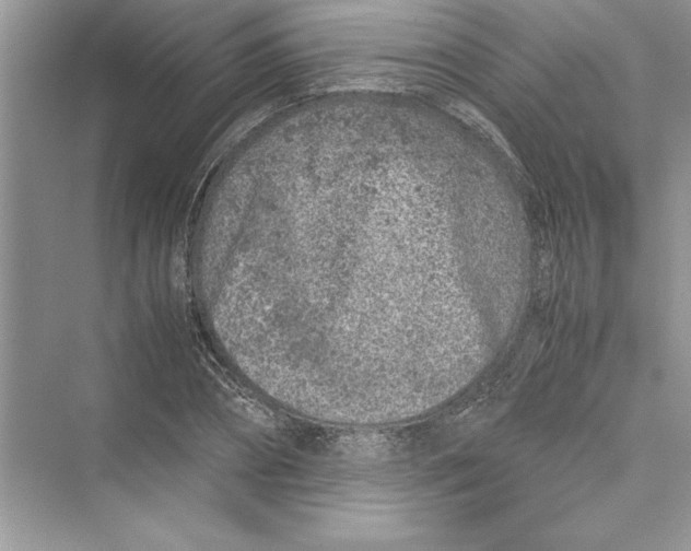 X0000072550882200608111836