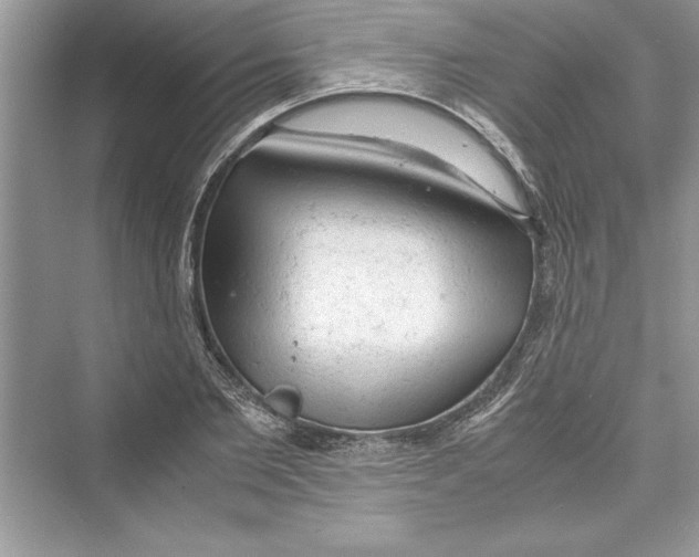 X0000072550885200608111836