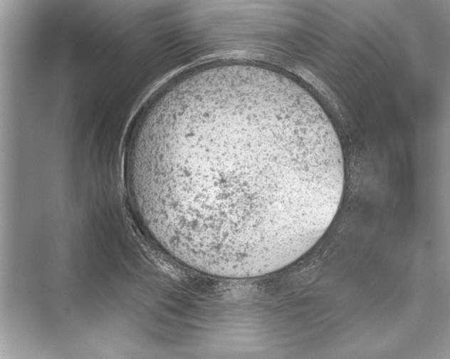 X0000072550886200608111836