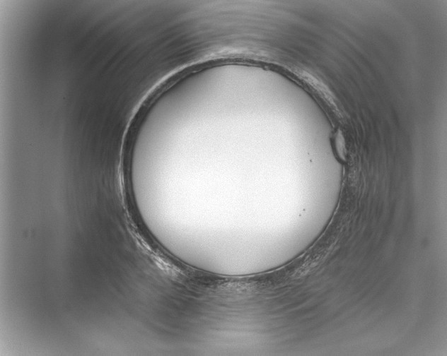 X0000072550888200608111836