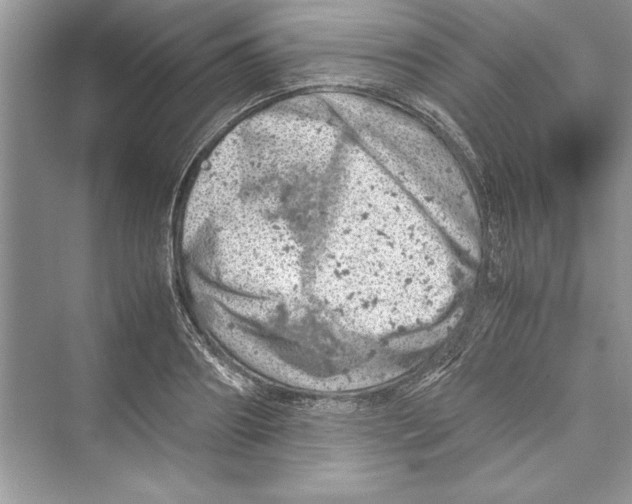 X0000072550890200608111836