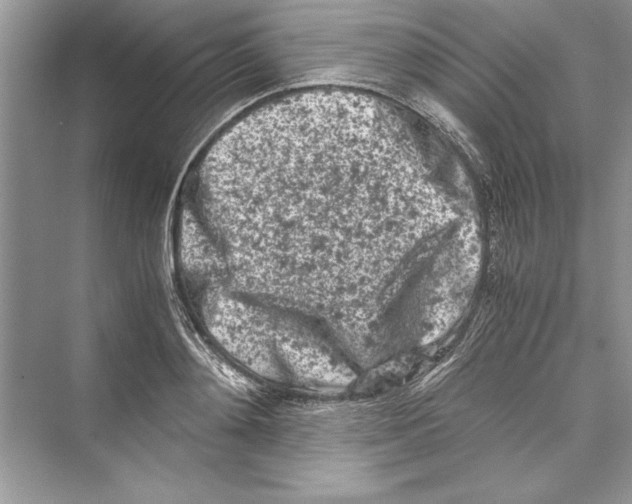 X0000072550892200608111836