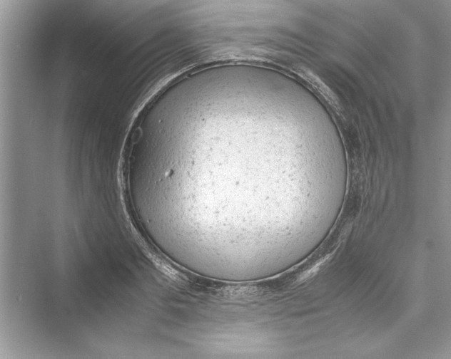 X0000072550893200608111836