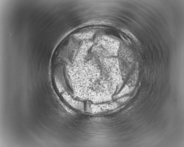 X0000072550894200608111836