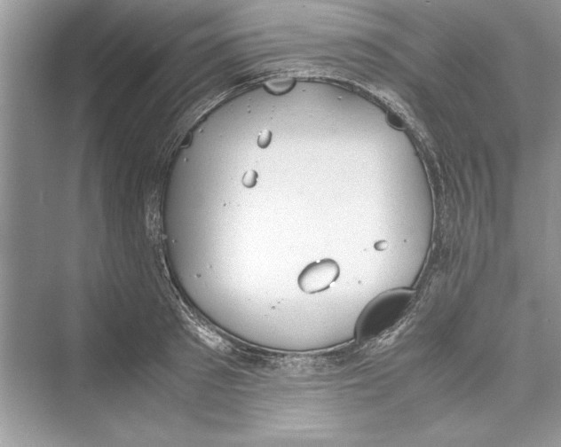 X0000072550897200608111836