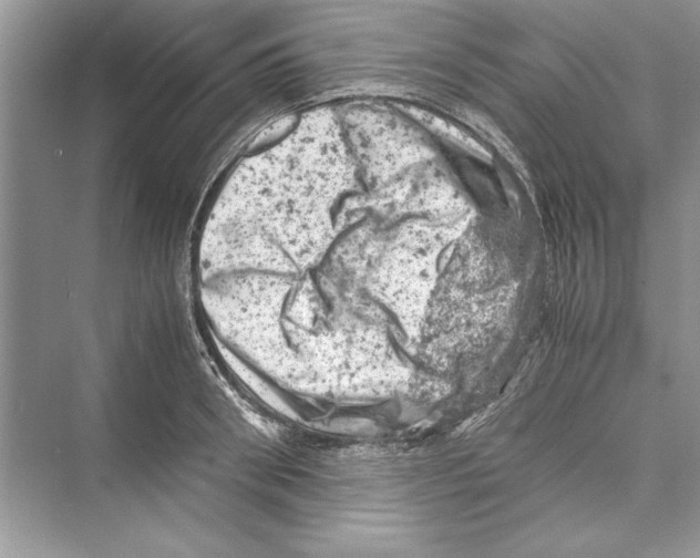 X0000072550898200608111836