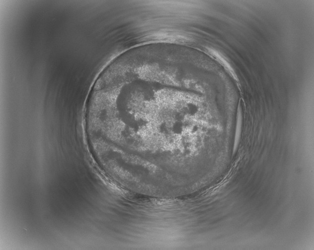 X0000072550899200608111836